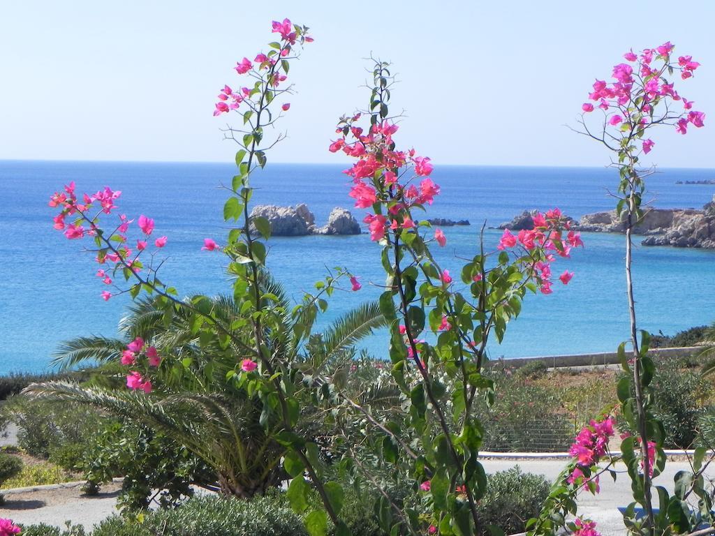 אמופי Ardani Bay Studios חדר תמונה
