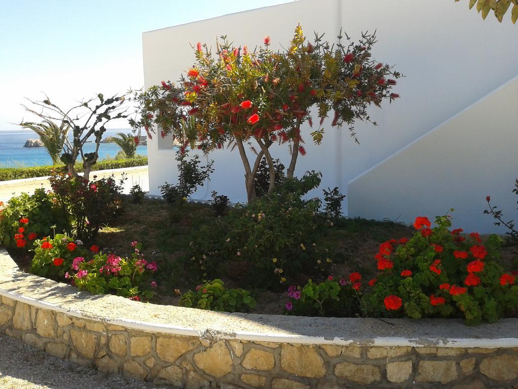 אמופי Ardani Bay Studios מראה חיצוני תמונה